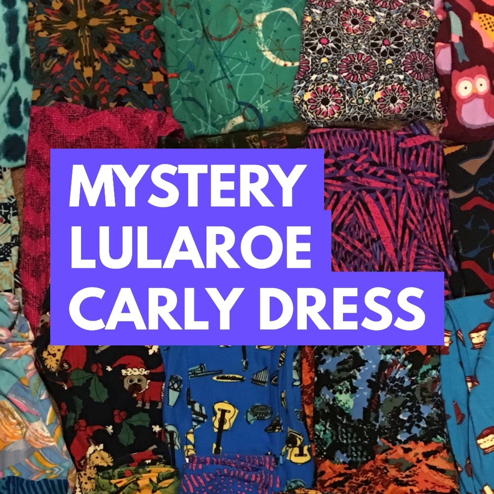 NEW LuLaRoe Carly Dress - Mystery Dress